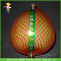 Fruit frais Pomelo frais de haute qualité - Jining Rich Farmer International Trade Co., Ltd